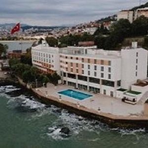 Anemon Ordu